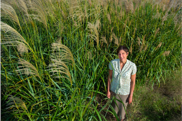 food-and-fuel-production