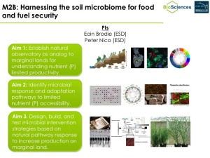 Harnessing the soil microbiome for food and fuel security