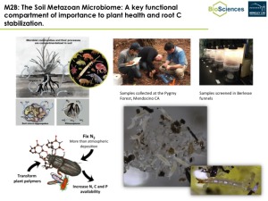 Soil_Metazoan_Microbiome